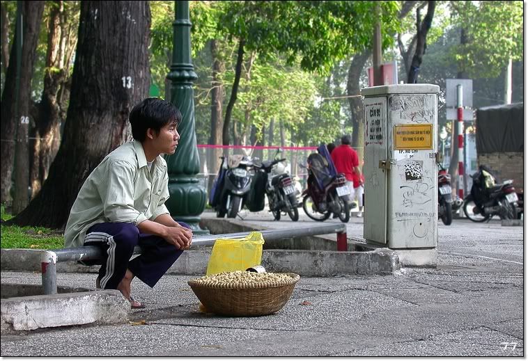 Daily diary for everyone