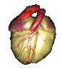 848-heart2.gif picture by shaheenz