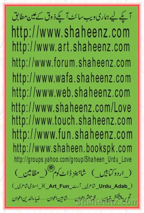 Hmari_Web_sites_028.jpg picture by shaheenz