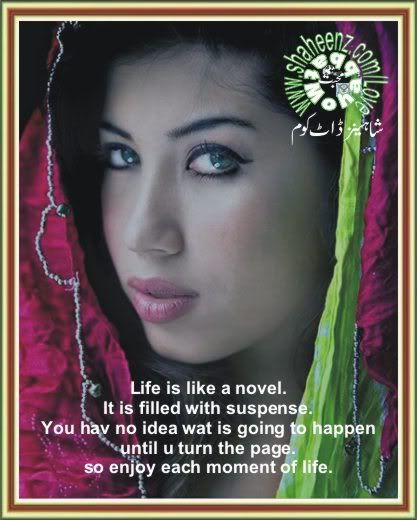 Life_is_like_a_novel_01_S_M_S_01l.jpg picture by shaheenz