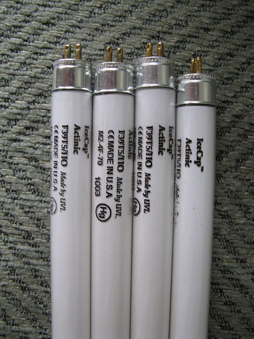 IMG 6791 - Used Low Hour T-5's by IceCap 36" Actinic bulbs, 39 Watts
