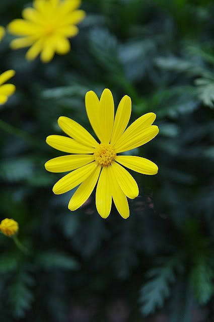 blog "Pentax K-7" "Tamron A16"