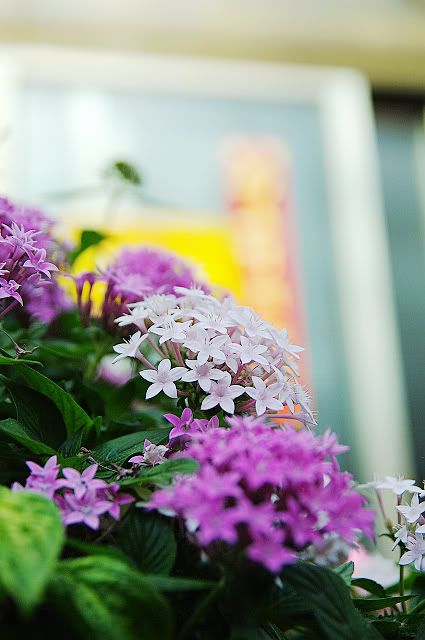 blog "Pentax K-7" "Tamron A16"