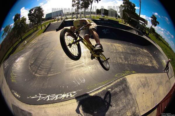 IMAGE: http://i726.photobucket.com/albums/ww264/j-paka/runbayparkJAN6th/l_6a5251ce5dca4a6b8ba97eb73456300b.jpg