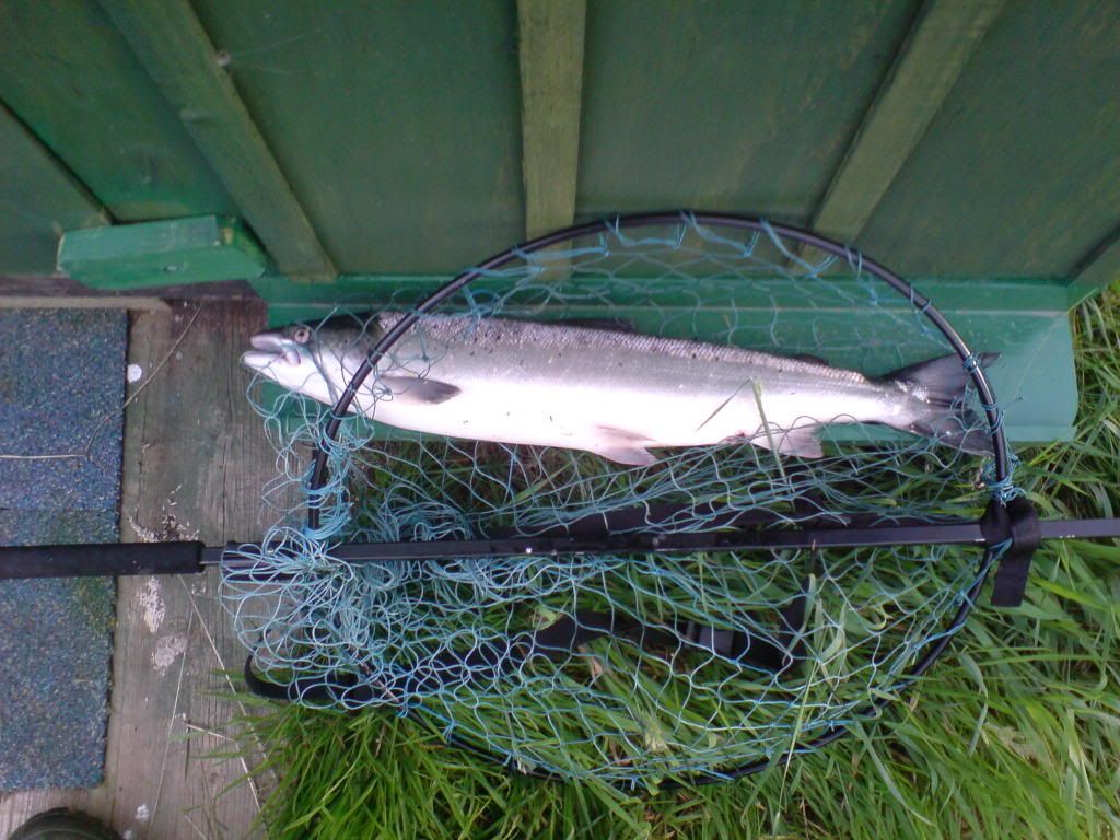 Which Landing Net ?  Sea Trout Forum - sponsored by Thomas Turner