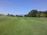 Coto North 1 Fairway Swale