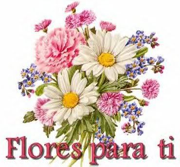 FloresParaTi.jpg FLORES PARA TI image by Analaseria