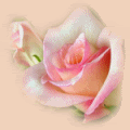 rosa4502.gif picture by amor_contigo