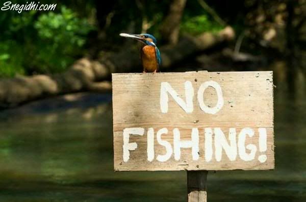 [FFA] Fun For All, A Snegidhi Group Presentation, WWW.SNEGIDHI.COM