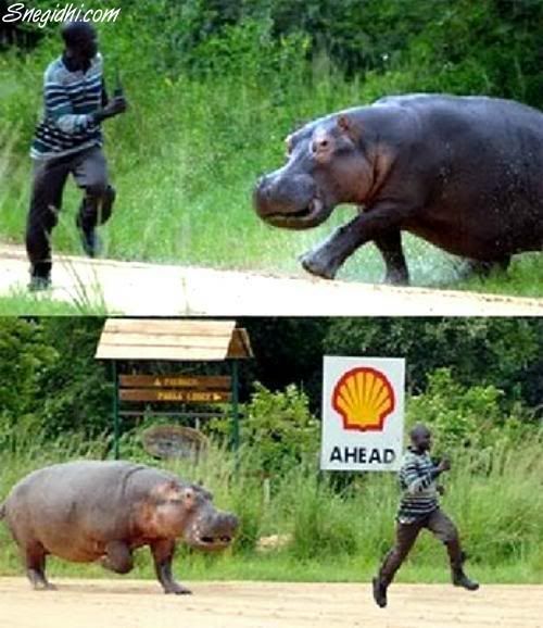 [FFA] Fun For All, A Snegidhi Group Presentation, WWW.SNEGIDHI.COM