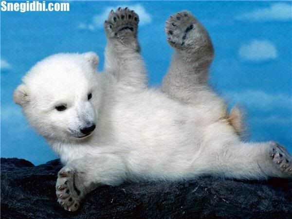 Fun 4 Everyone - Snegidhi.com