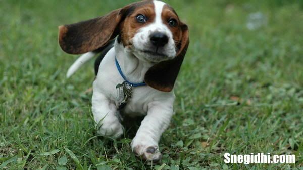 Fun 4 Everyone - Snegidhi.com