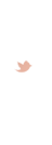  photo RoseRocksRetailNAV_twitter.png