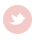  photo twitter-8.png