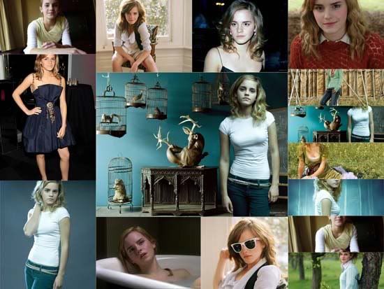emma watson wallpapers 2010. 2010 Emma Watson#39;s Hot Sexy