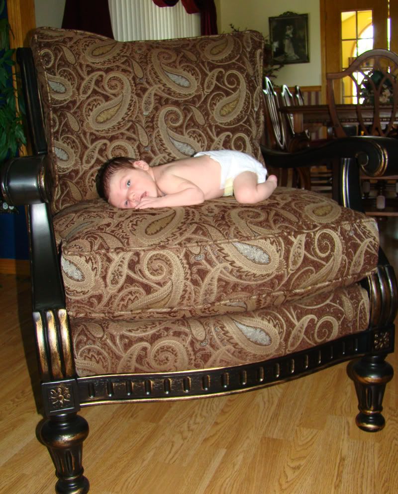 1weekchair.jpg 1 WEEK picture by Comfybluesocks