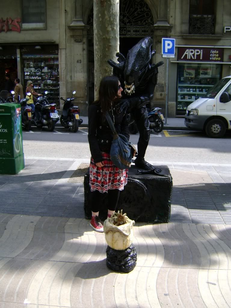 DSC02956.jpg?t=1274129600