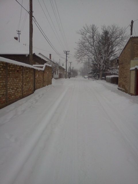 IMG20120203_001.jpg?t=1328299712