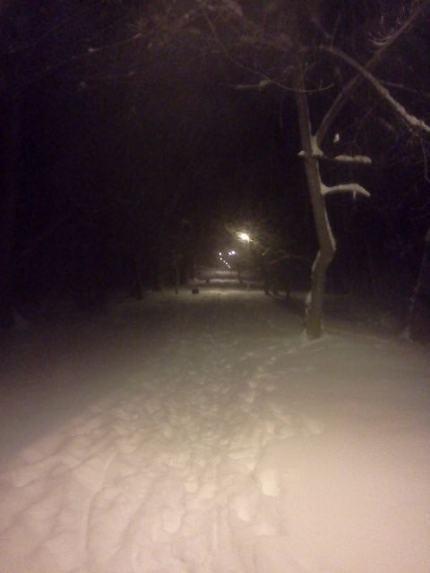 IMG20120203_002.jpg?t=1328299711