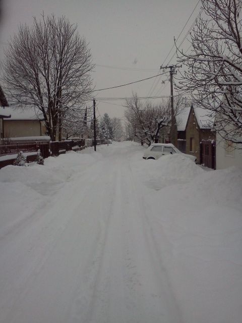 IMG20120204_001.jpg?t=1328384820