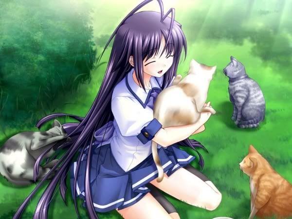 ANIME KITTENS FAV1 1