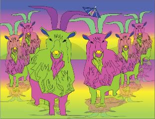 Amandas-Goats-1.jpg