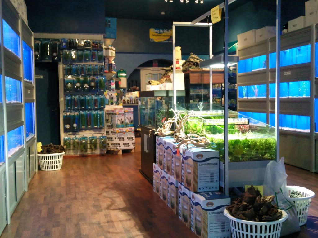 ***Quality Reptiles Scotland*** Reptile Forums