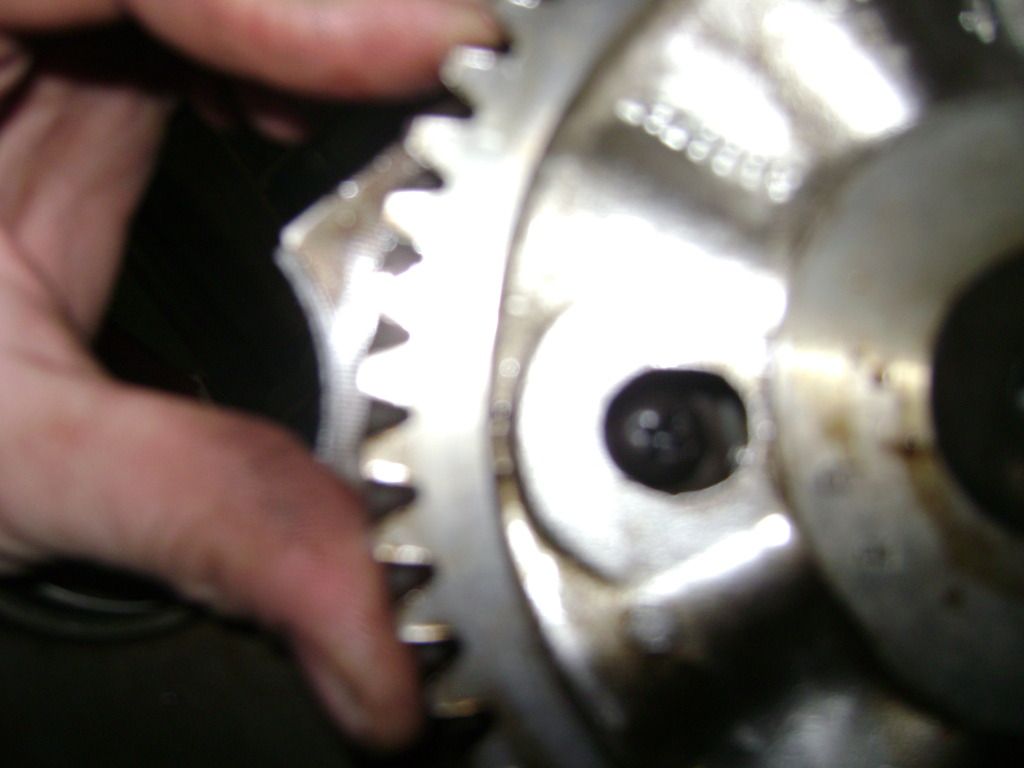 DSC00230.jpg