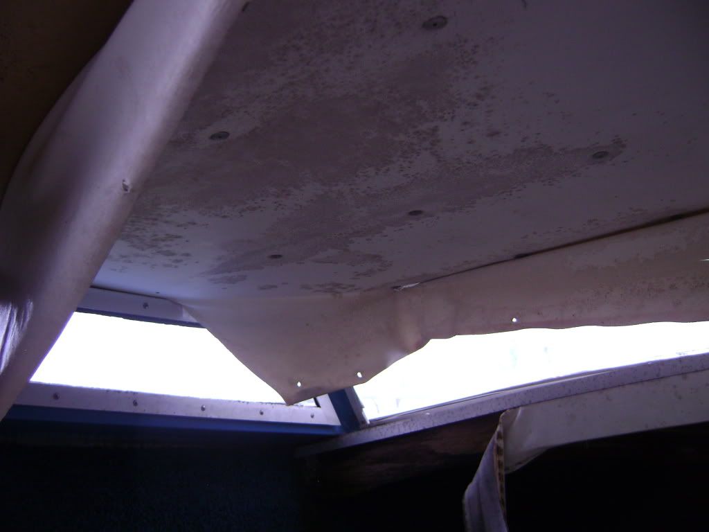DSC09715.jpg